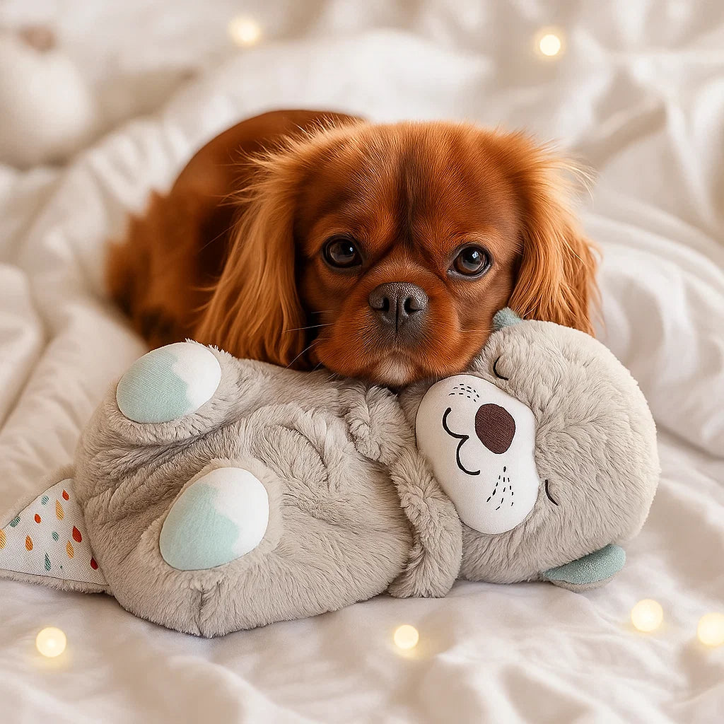 Medo Uspavanka - Miran San i Nježnost