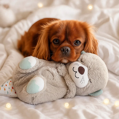 Medo Uspavanka - Miran San i Nježnost